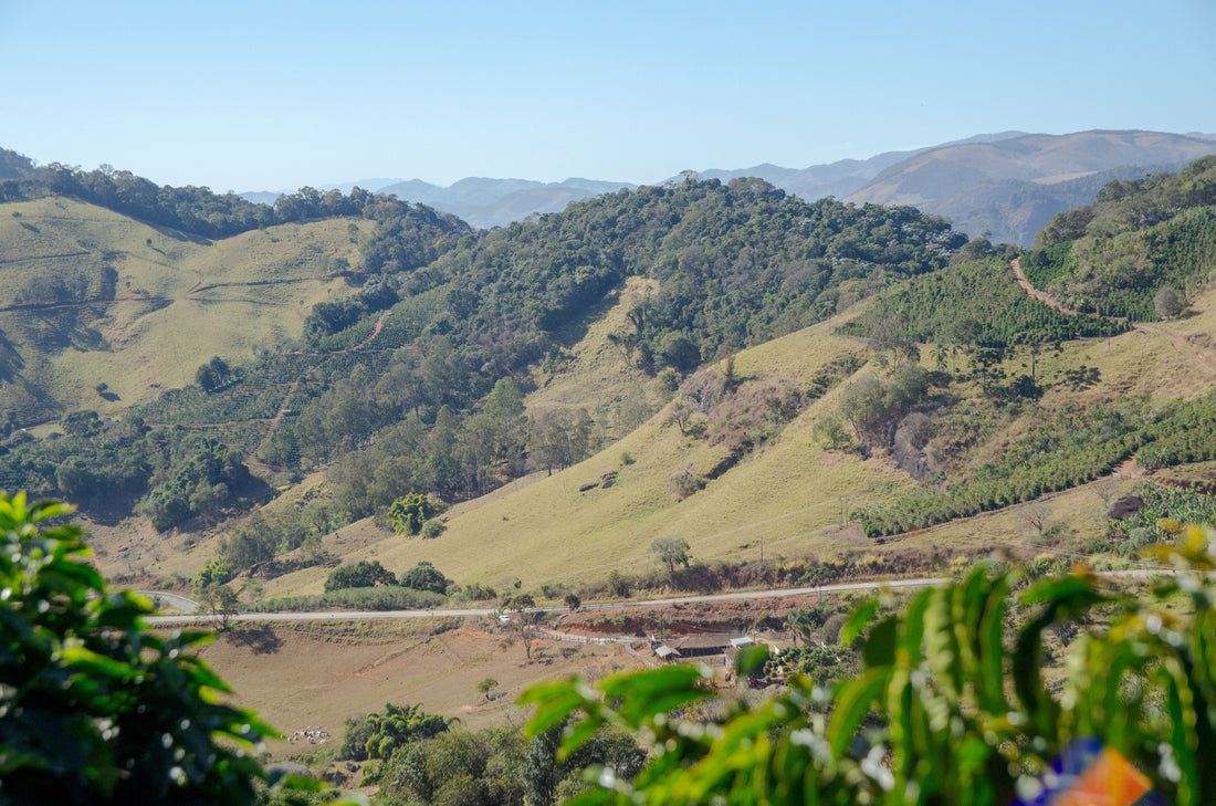 Características da produção de café na Mantiqueira