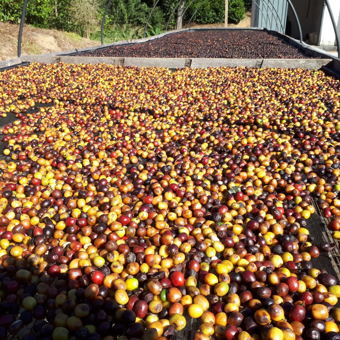 Práticas Mais Seguras e Responsáveis